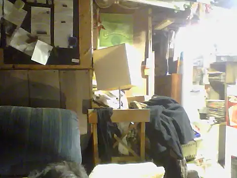 OldManOnline's Webcam Show