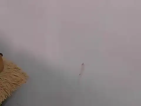 Chat XXX ao vivo de AndalaVani