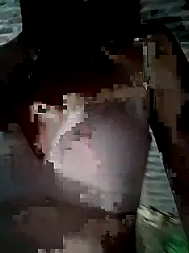Vicute-'s Live XXX Chat