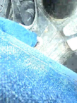 vivodan Webcam show