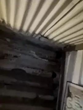 عرض كام Honey_300