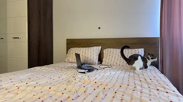 XXX chat uživo modela MathiasRay