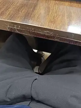 Chat +18 de Kakabiraji ao vivo