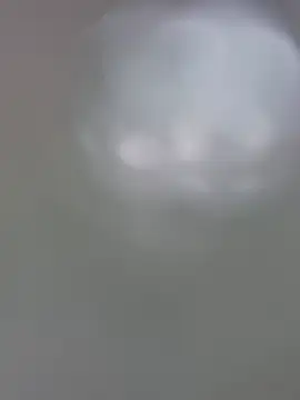 TirelessLot3 Live XXX-Chat