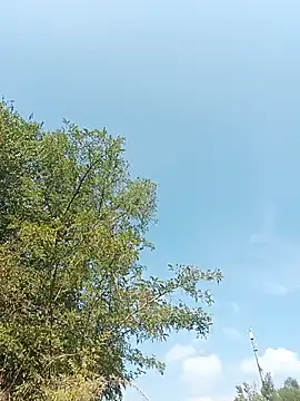 XXX chat uživo modela PsyLeo96