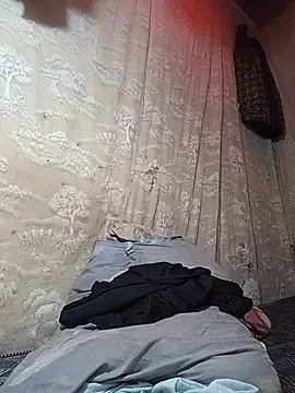 Sexboi254 现场XXX聊天