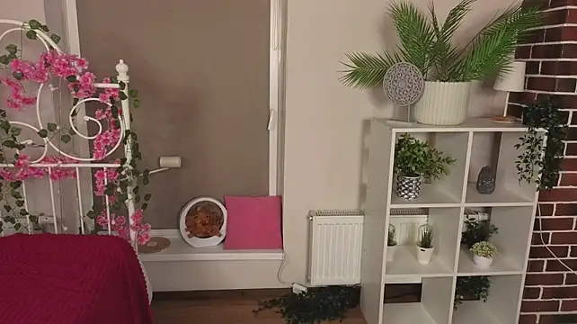CarriMcnamara – Live XXX-chat