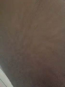 Sembang XXX Secara Langsung lee_sera2