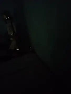 Vickeycocks Pertunjukan Webcam
