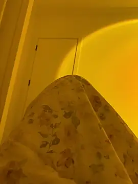 Živý XXX chat liu-bao