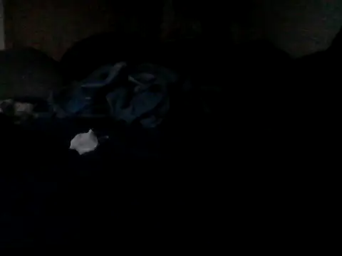 Silencio26 Live XXX-Chat