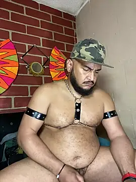 Chat XXX Live the_master_foal_