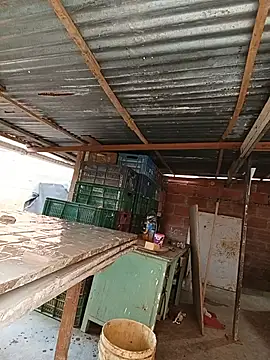 hoteder 라이브 XXX 채팅
