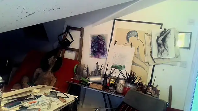 mista_sista_fistan Webbikameraesitys