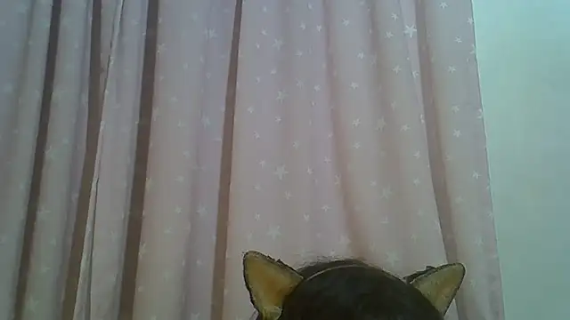 Show de webcam de SkinnyKitten