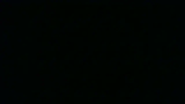 SamuelTal Live XXX-Chat
