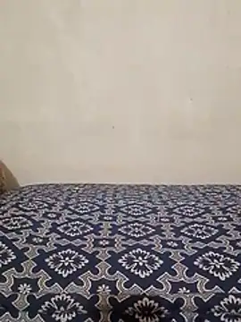 zabobi20cm élő XXX-chatje