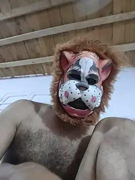zsder – Naživo XXX chat