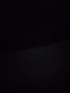 mrx88 在線直播表演