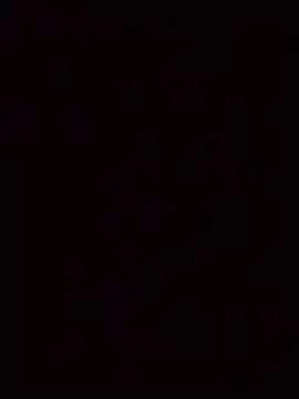 InferredPloce Webcam show