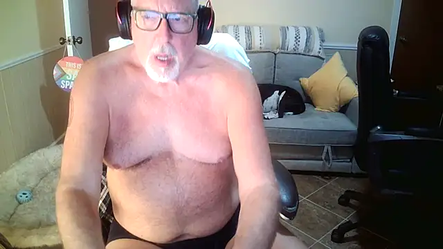 Show Webcam de superbearboss