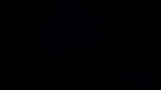 pakillobcnn Webbikameraesitys