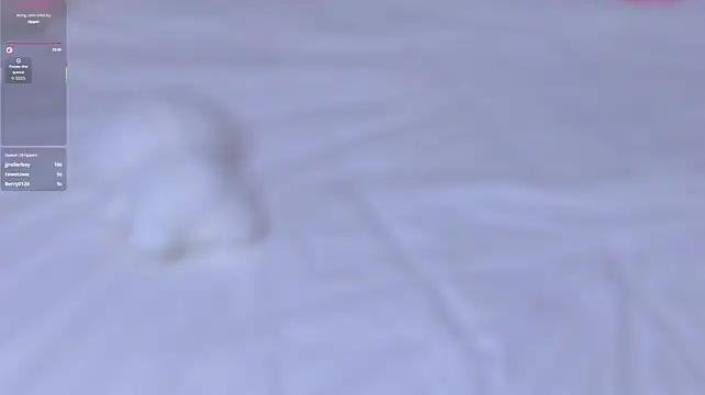 Marley_Kolchek élő XXX-chatje