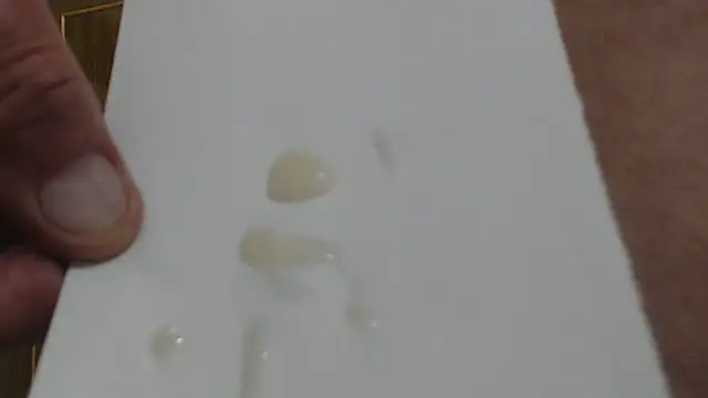 machomale3 Live XXX-chat