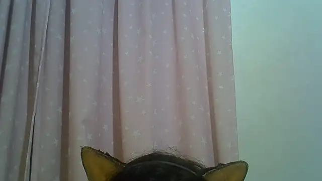 Chat XXX ao vivo de SkinnyKitten