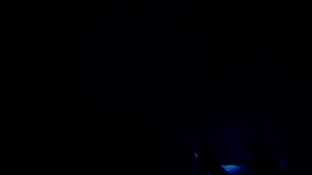 Show Webcam de pakillobcn
