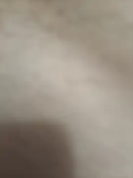 roben_swan Webcam show