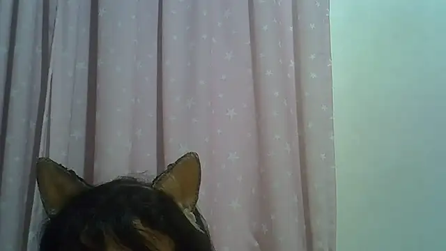 Chat +18 de SkinnyKitten ao vivo