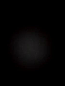 Ficose Webcam show