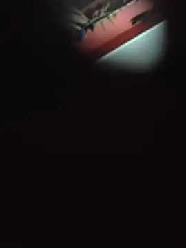 sumanrem 现场XXX聊天