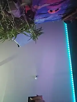 sae15のウェブカメラショー