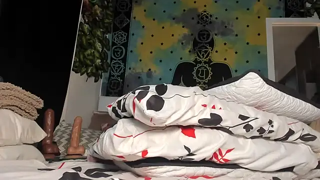 chanel_1041 live XXX chat