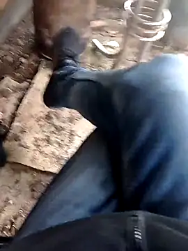 عرض كام bolulupideci14