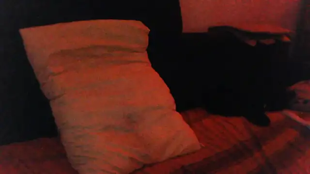 Chat XXX en directo de KaelNox