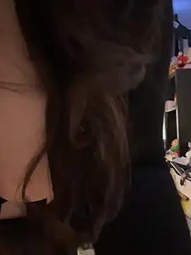 Evemeqt's Live XXX Chat