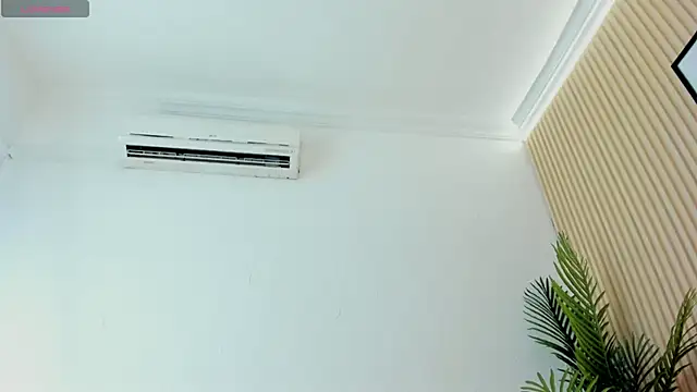 Bruno_fox 现场XXX聊天