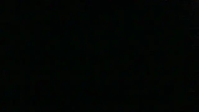Show webcam de dracogotti