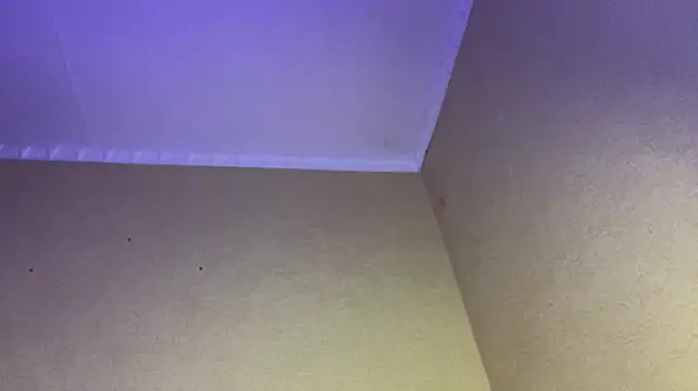 xXMelanieseXx Chat XXX in diretta