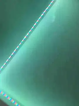 Deiv212 webcam show