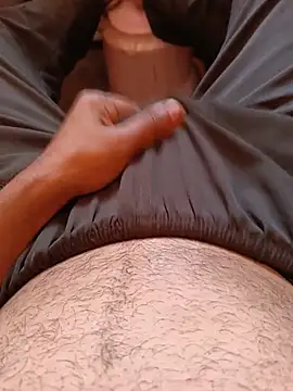 Himachali_bull_27 Chat XXX in diretta