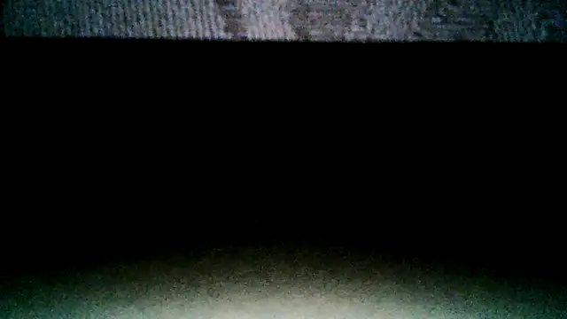 DenBeenDikN Live XXX-chat