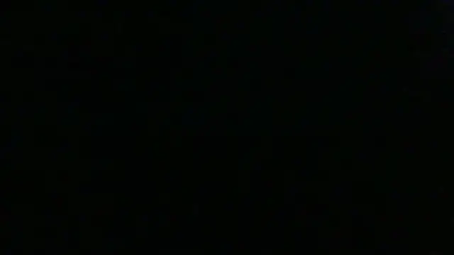 dracogotti Live XXX-chat