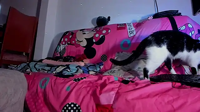 Živý XXX chat lorena_miss