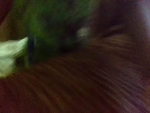 sandrabla 即時 XXX 聊天