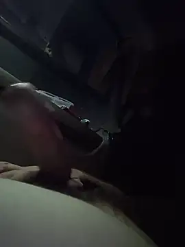 VisualSeasoning1 webcam show