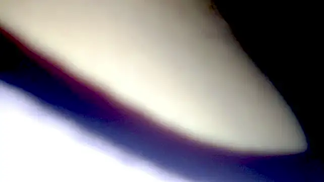 PetiteIvoryQueen19: απευθείας συνομιλία ΧΧΧ